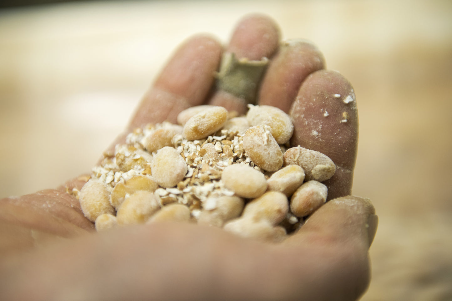 ミソフル粉末タイプ 70g