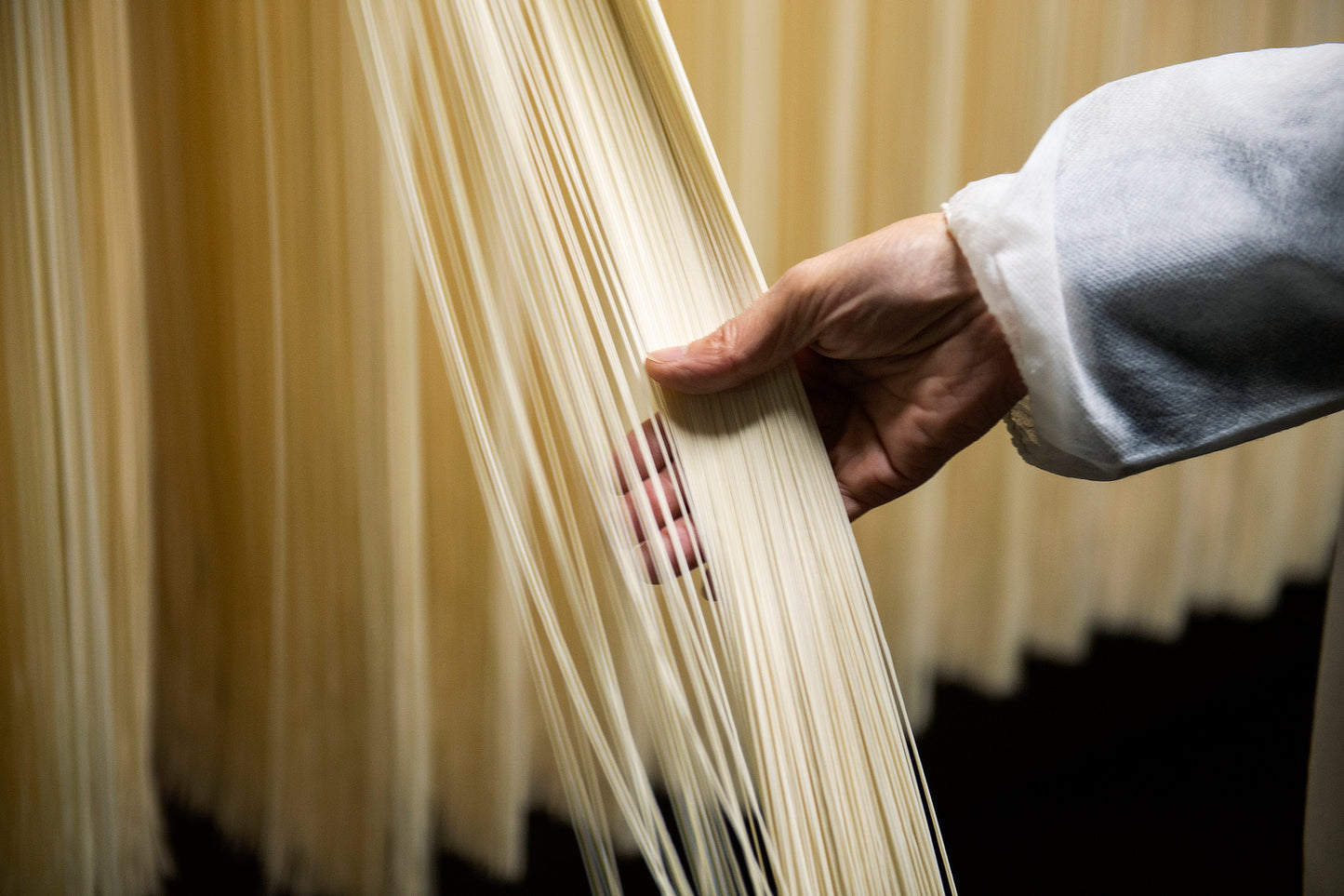 竹 古代麺3種