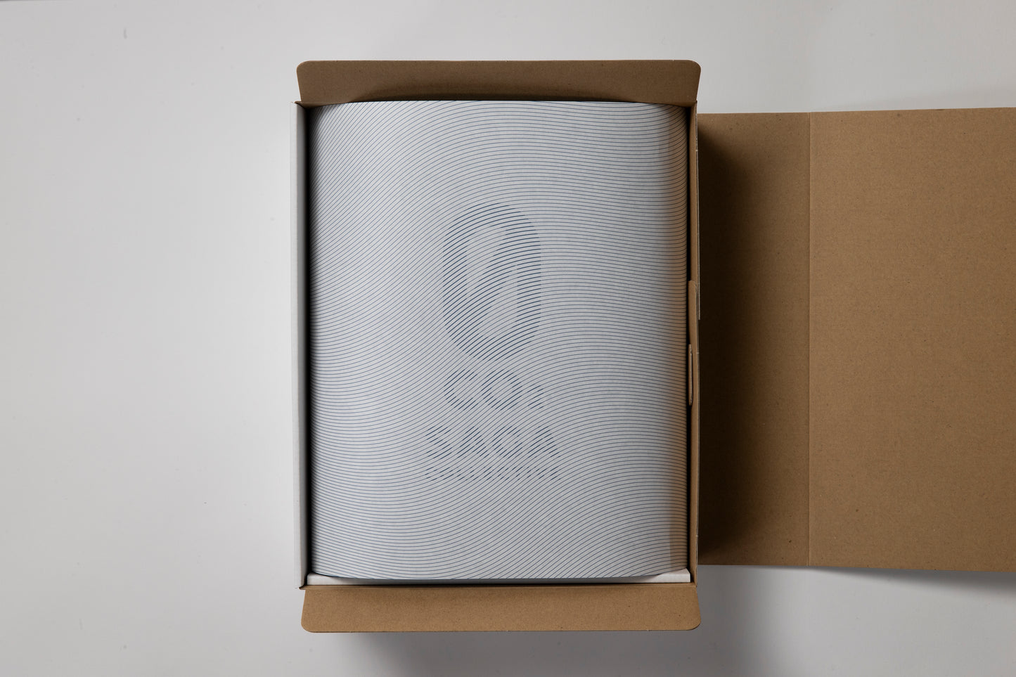 SAGA gourmet set (with soba and Ureshino tea)