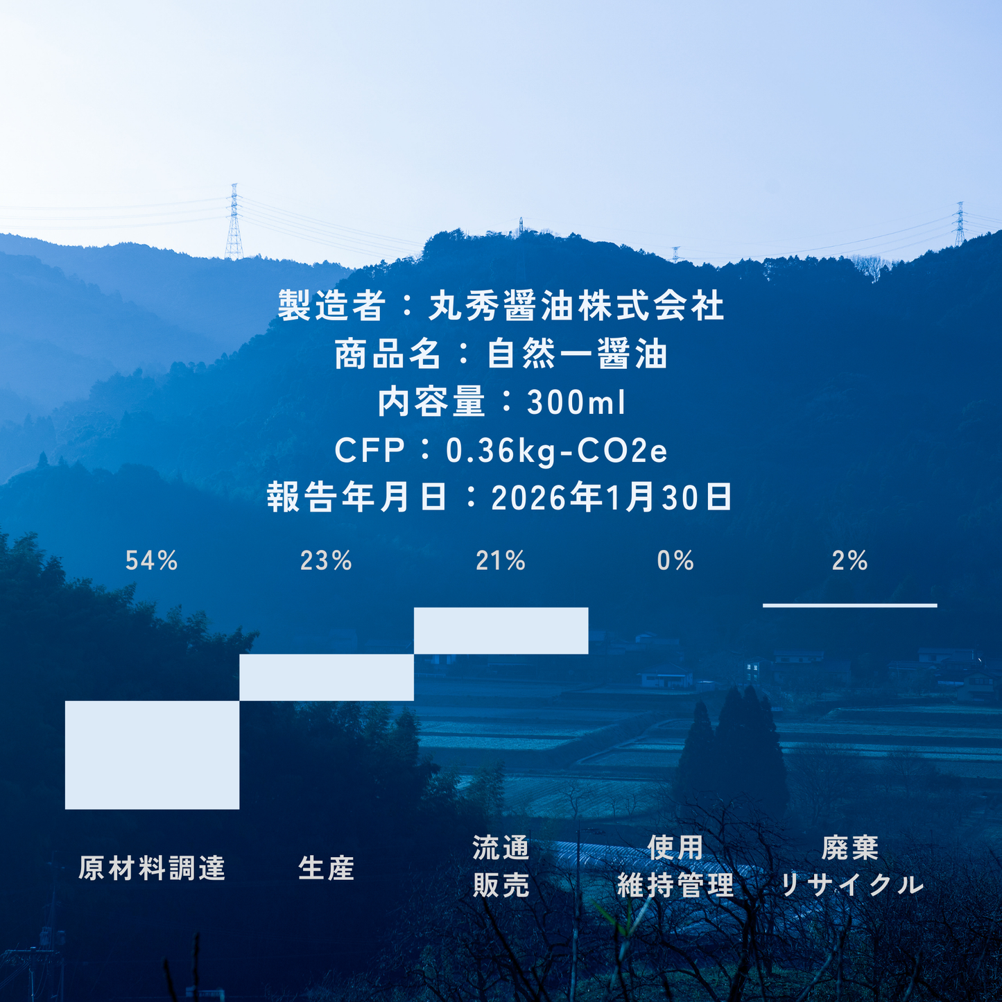 Shizenichi Soy Sauce 300ml