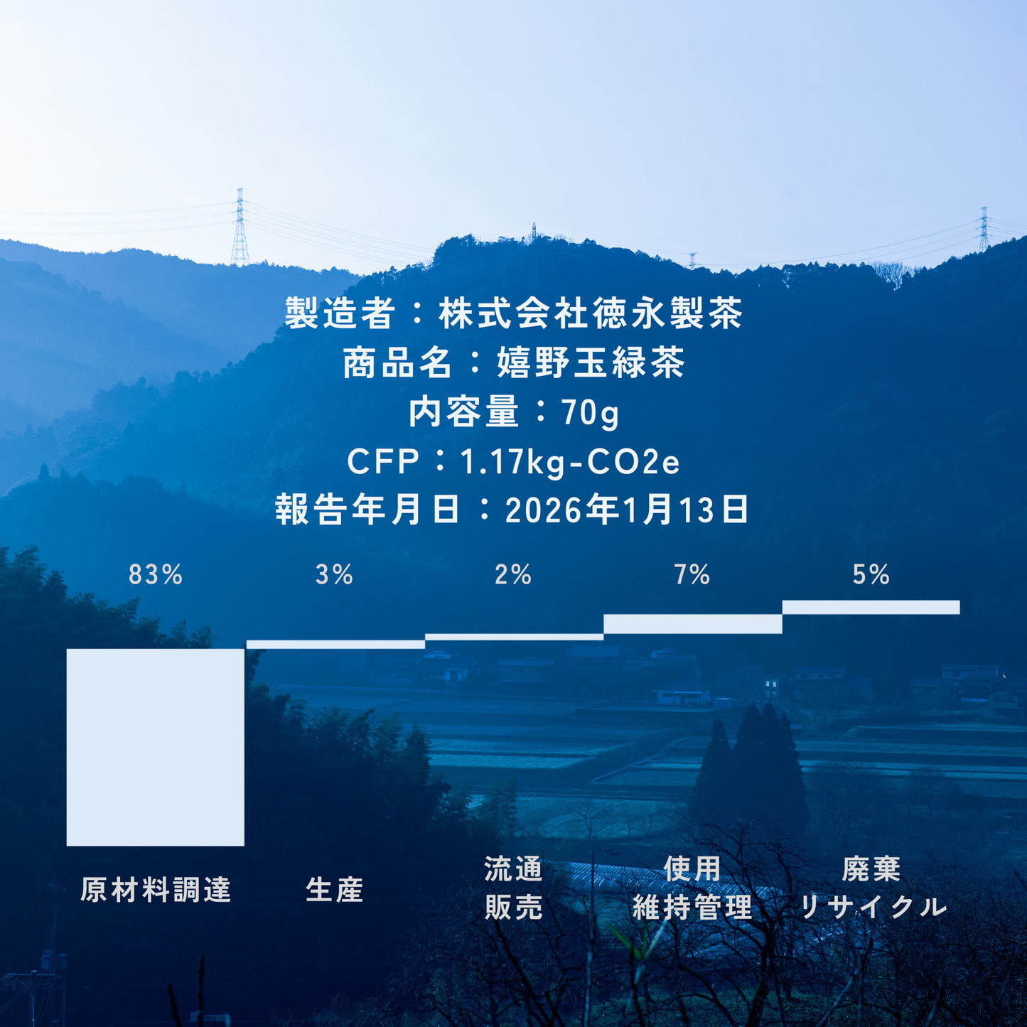 Ureshino Tamaryokucha