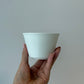 白磁 テイスティング茶器セット